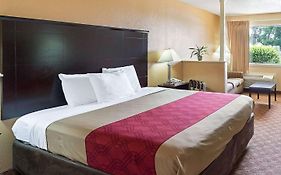 Econo Lodge Inn & Suites Downtown Northeast San Antonio Tx